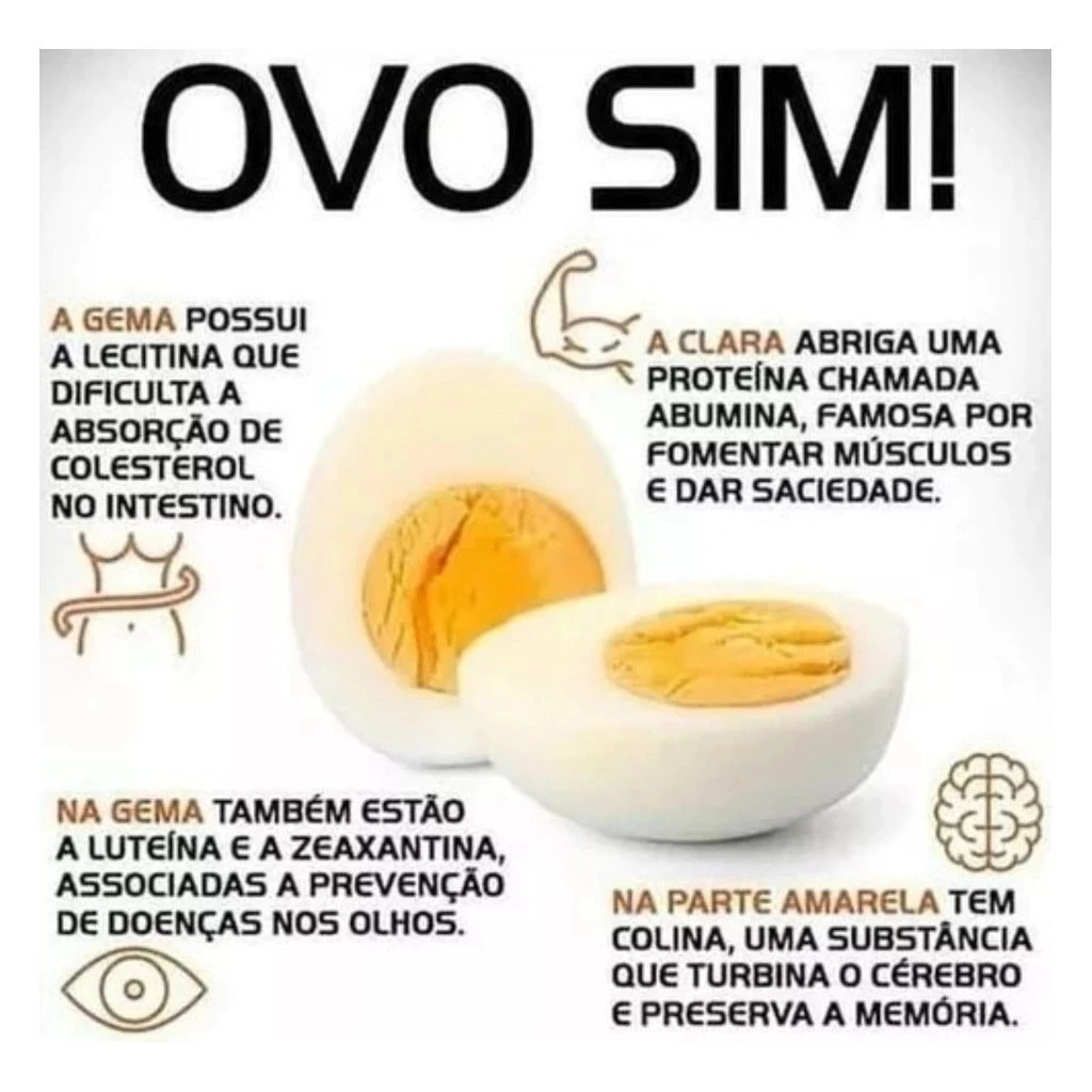 Cozedor De Ovos Portátil Elétrico Cozinha A Vapor 110v/220v - Imagem 8